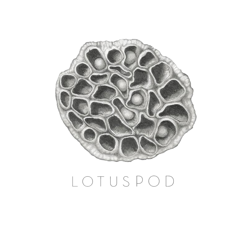 lotus pod